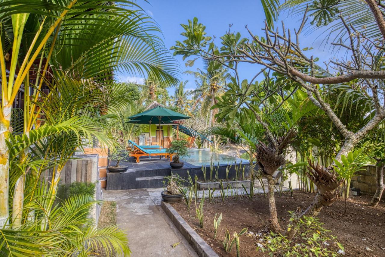 The Mountain Cottage Sakti Екстер'єр фото